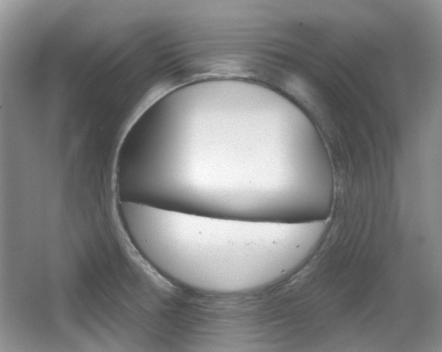 X0000065231378200602170917