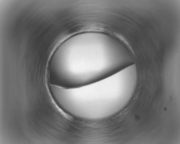 X0000065231379200602170917
