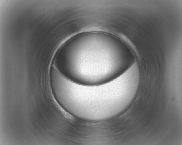 X0000065231380200602170917
