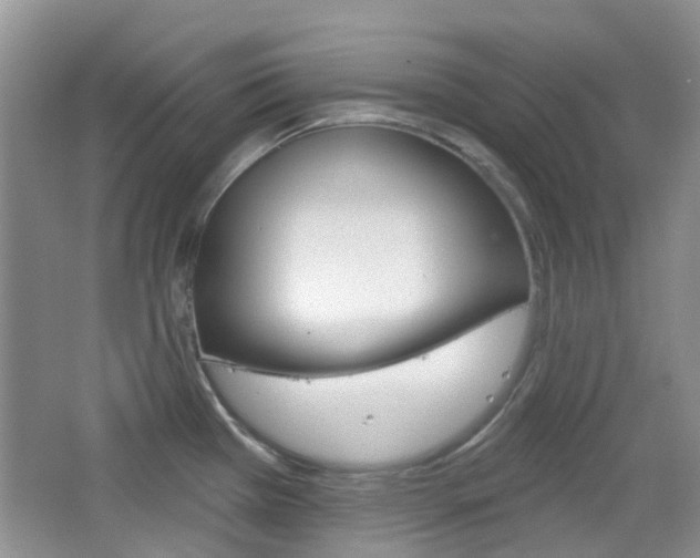 X0000065231385200602170916