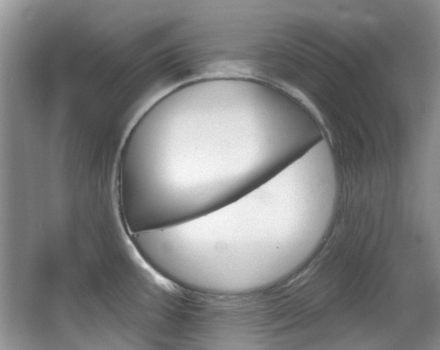 X0000065231387200602170916