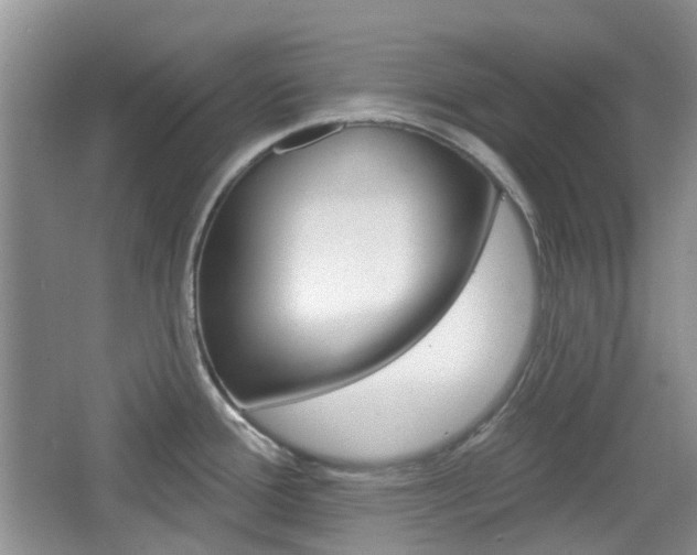 X0000065231388200602170916