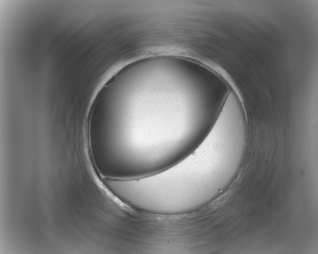 X0000065231389200602170916