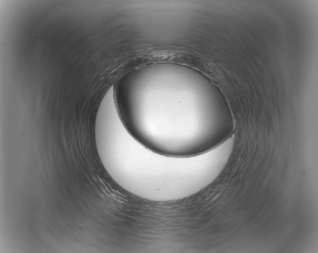 X0000065231394200602170916