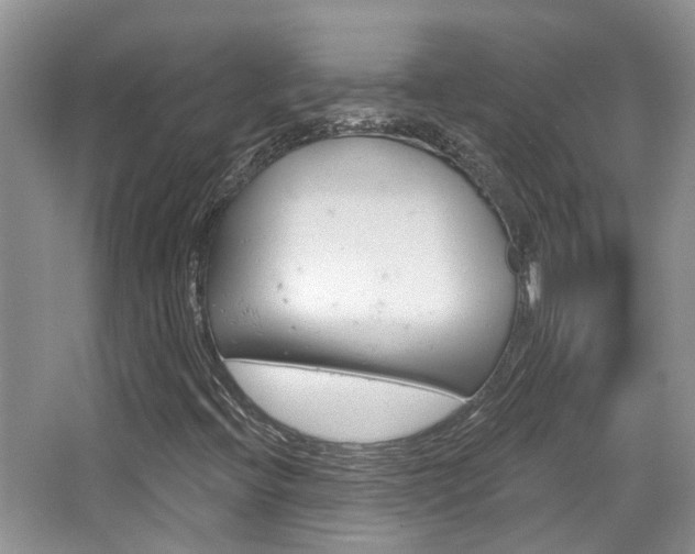 X0000065231396200602170916