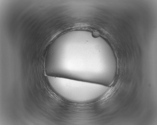 X0000065231401200602170916