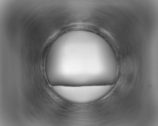X0000065231403200602170916