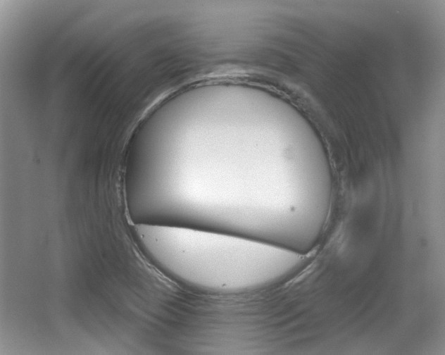 X0000065231409200602170916