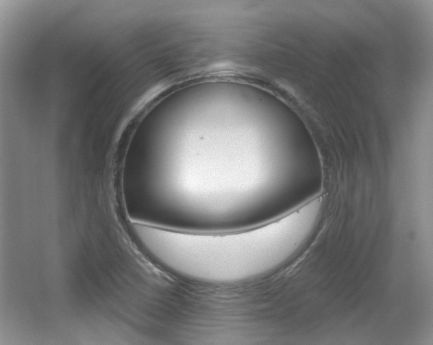 X0000065231410200602170916