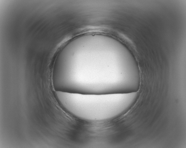 X0000065231411200602170916