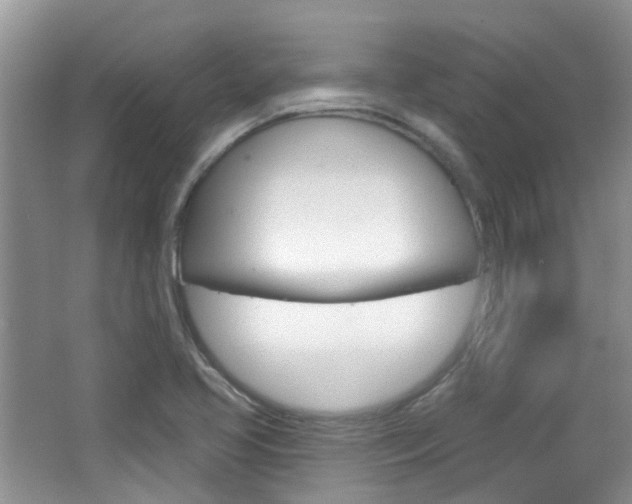 X0000065231413200602170916