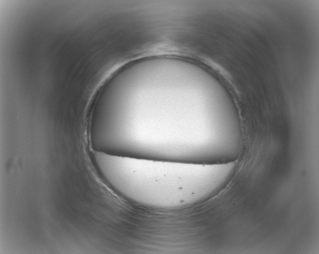 X0000065231415200602170916