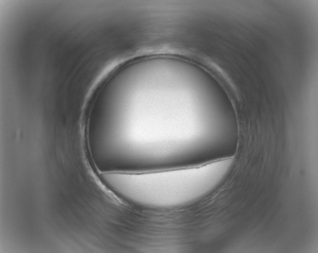 X0000065231416200602170916