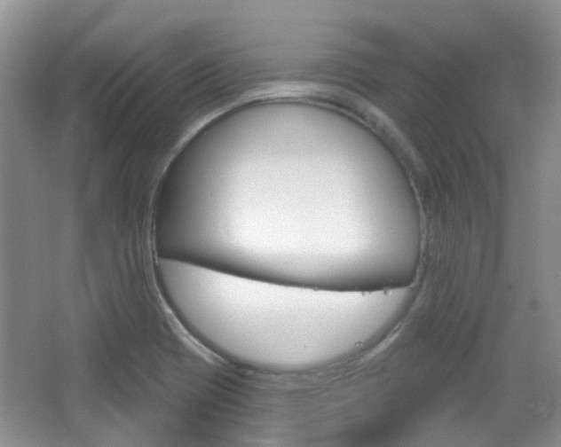 X0000065231417200602170916