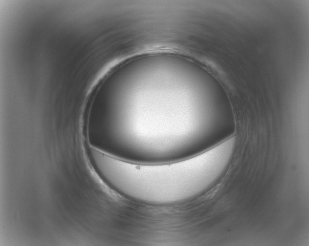 X0000065231422200602170916