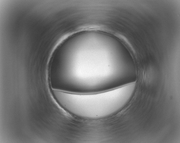 X0000065231424200602170916