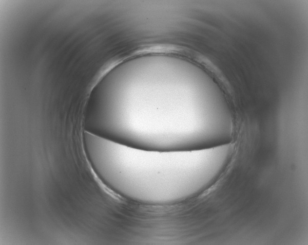 X0000065231425200602170916
