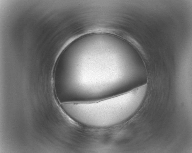 X0000065231428200602170916