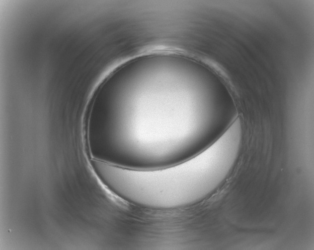 X0000065231430200602170916