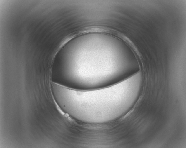 X0000065231433200602170916