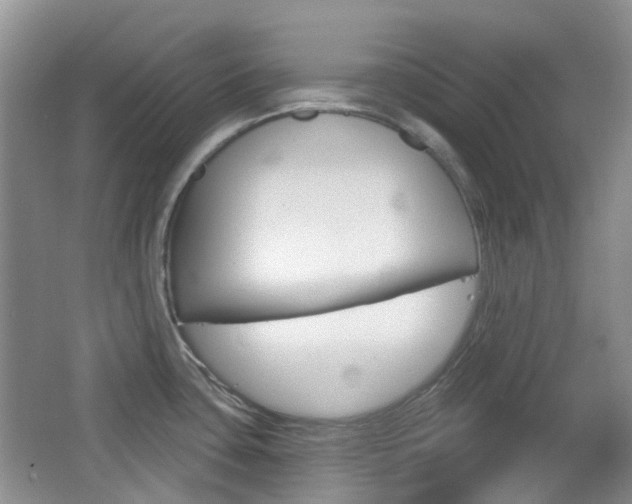 X0000065231435200602170916