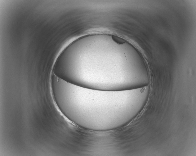 X0000065231440200602170916