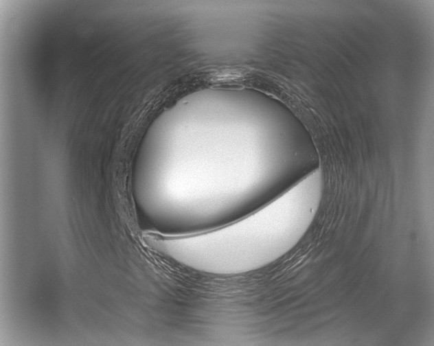 X0000065231441200602170916