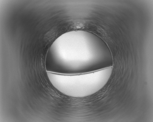 X0000065231442200602170916