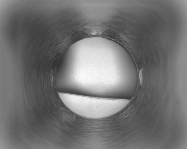 X0000065231443200602170915