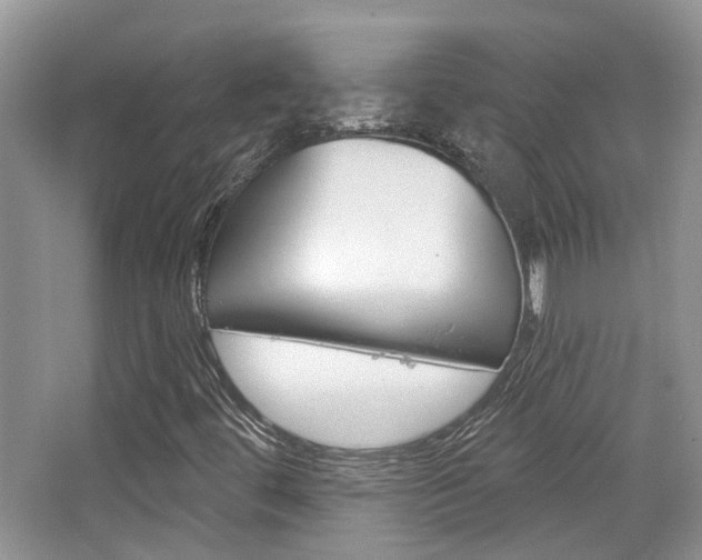 X0000065231444200602170915