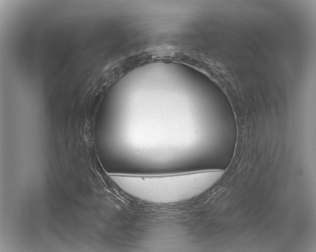 X0000065231445200602170915