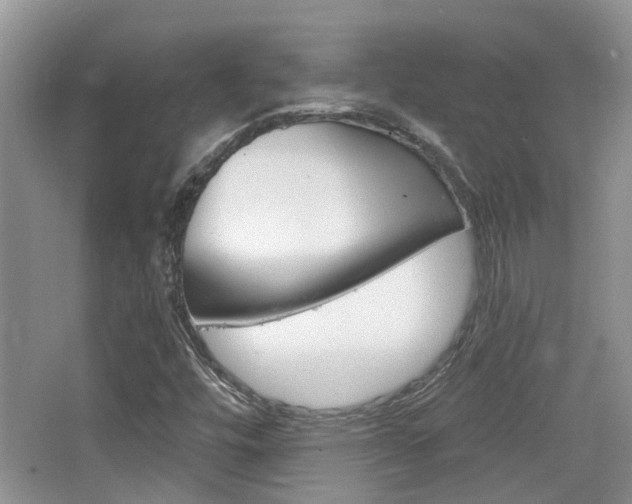 X0000065231448200602170915