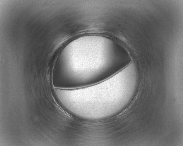 X0000065231450200602170915