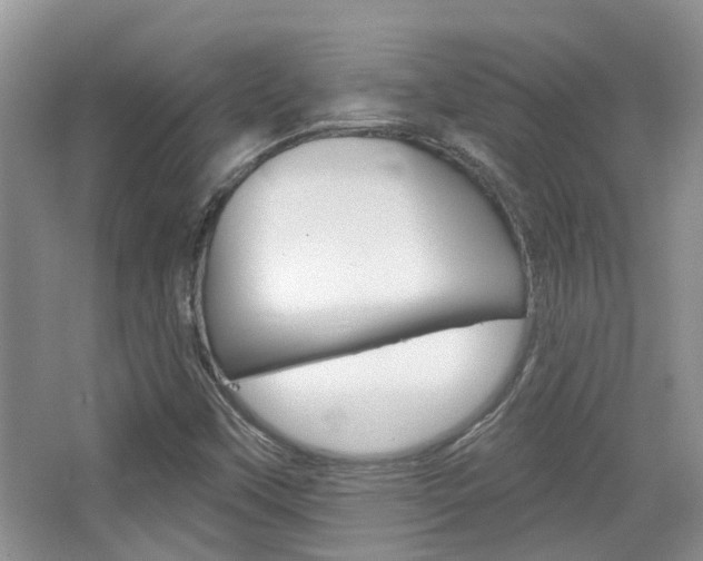 X0000065231451200602170915