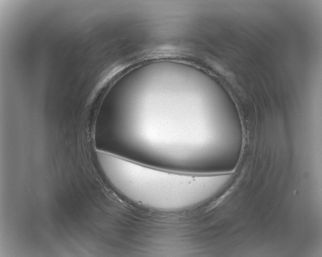 X0000065231453200602170915