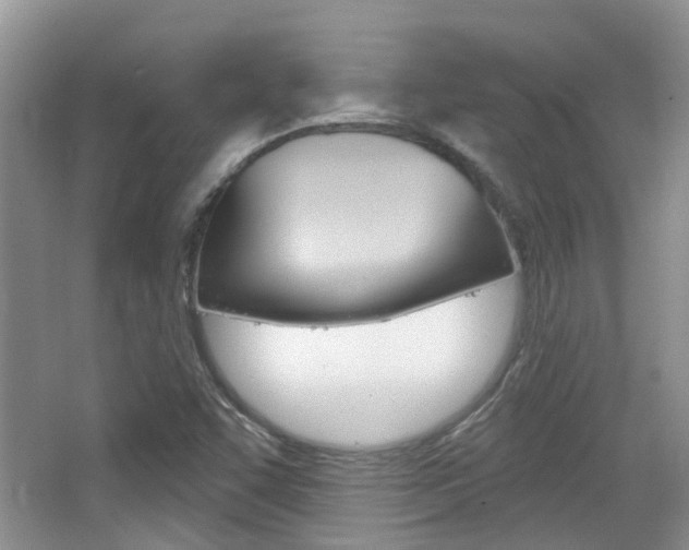 X0000065231455200602170915