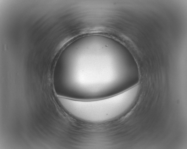 X0000065231457200602170915