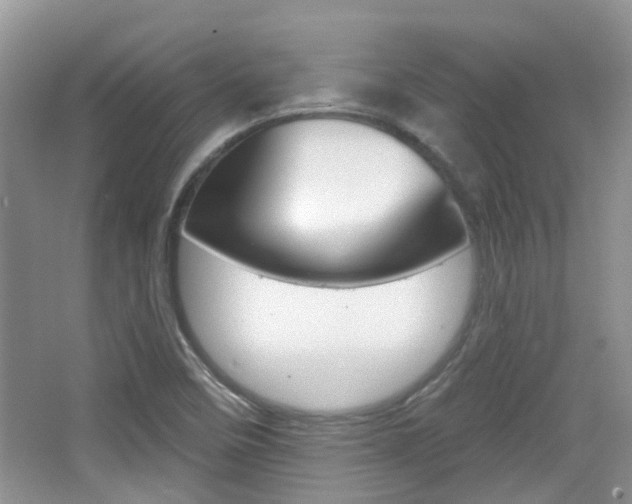 X0000065231458200602170915