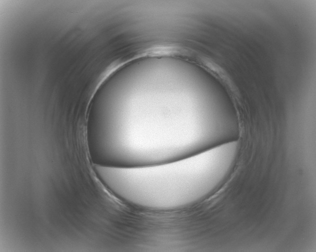 X0000065231473200602170915