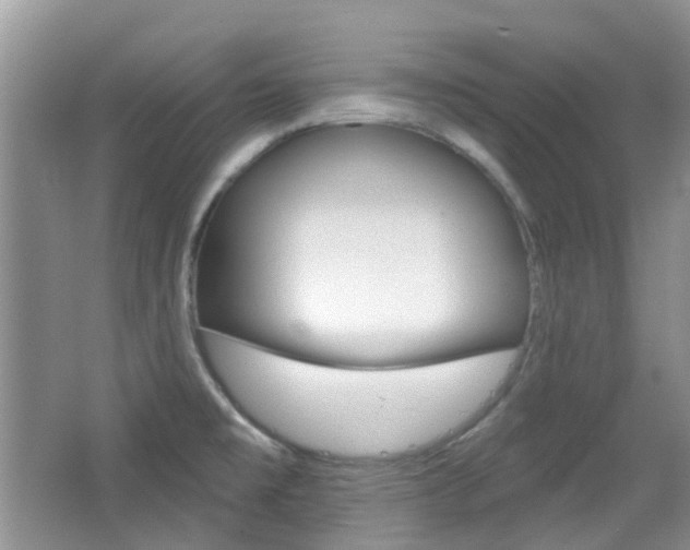 X0000065231477200602170915