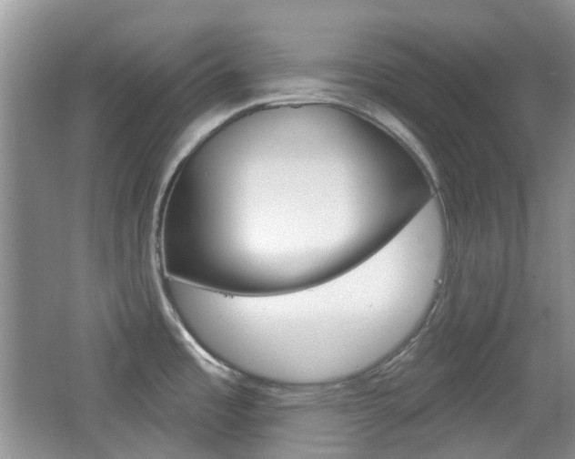 X0000065231485200602170915