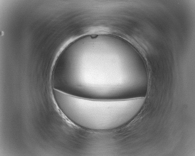 X0000065231488200602170915