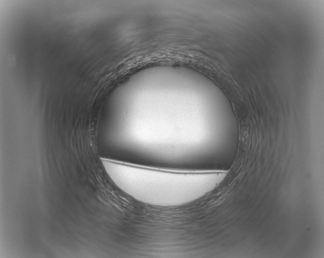 X0000065231490200602170914