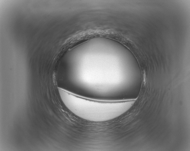 X0000065231492200602170914