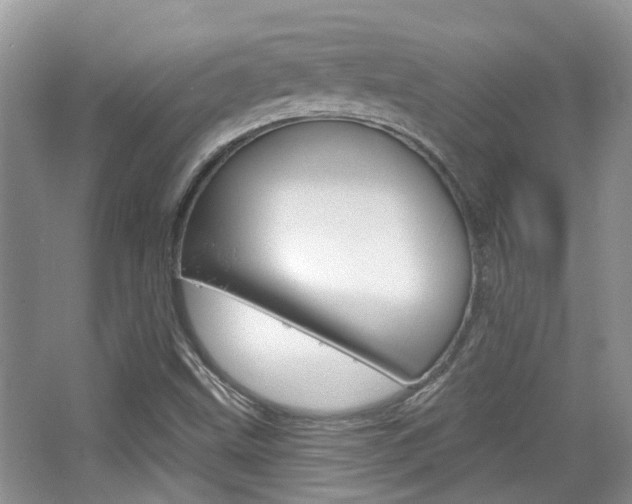 X0000065231499200602170914