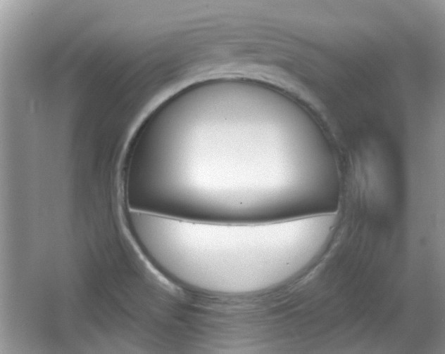 X0000065231517200602170914