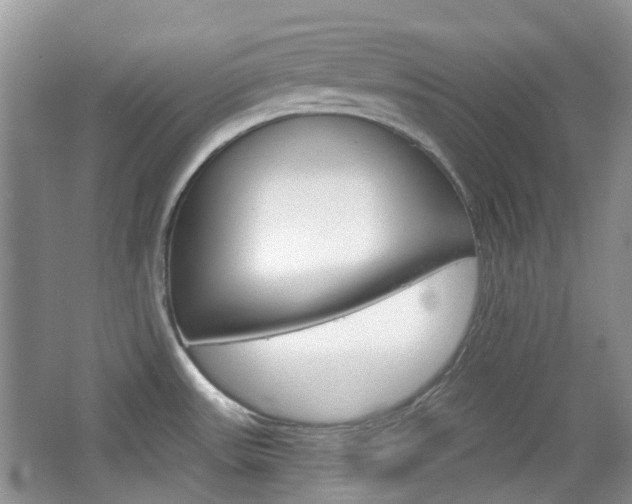 X0000065231531200602170915