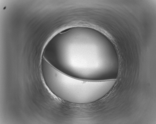 X0000065231536200602170915