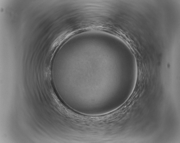 X0000065230002200602171410