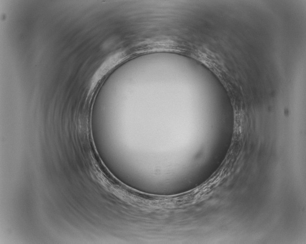 X0000065230004200602171410